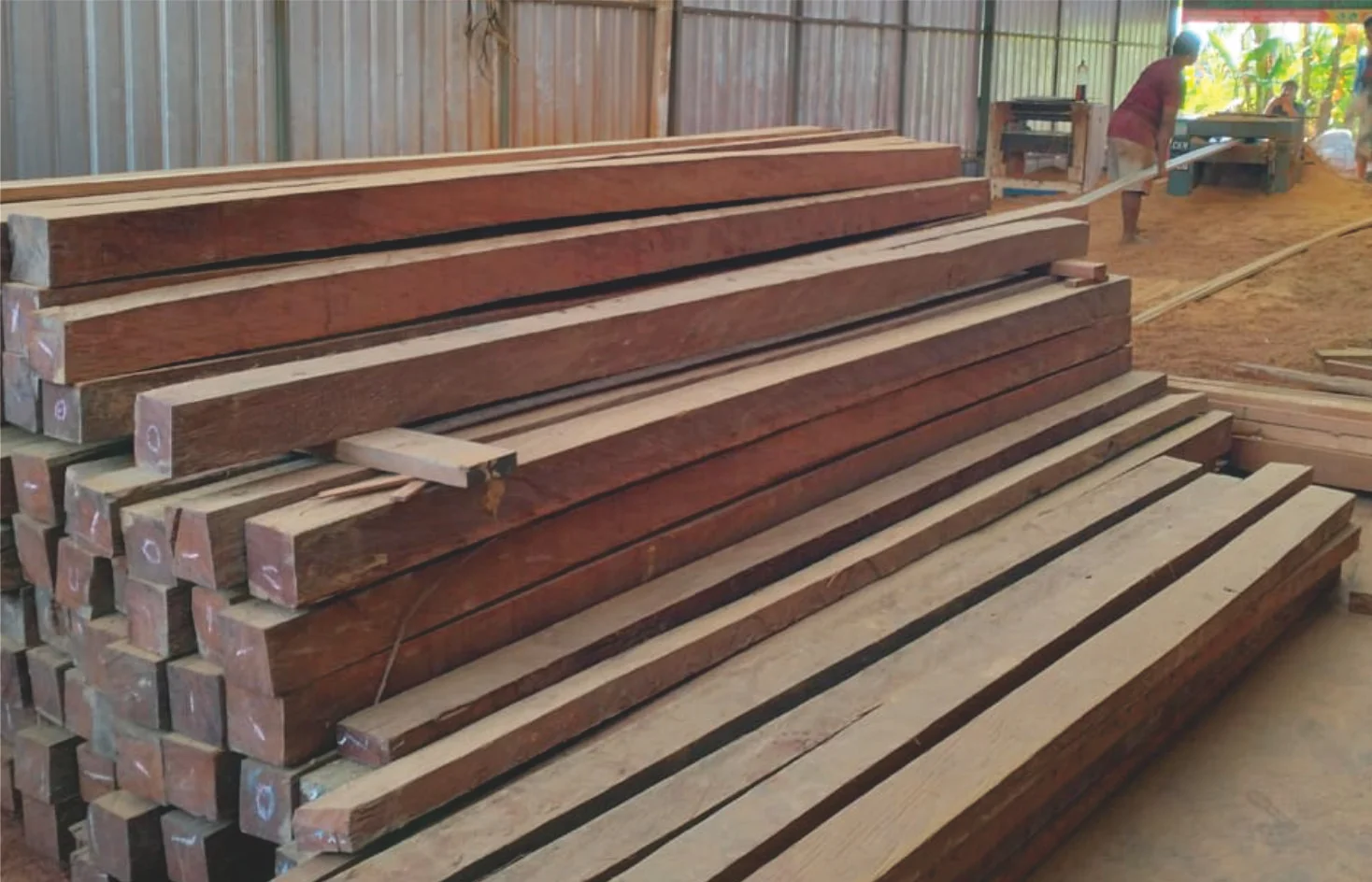 Kayu Bangunan Berkualitas: Pilihan Terbaik untuk Fondasi yang Kuat dan Desain yang Indah