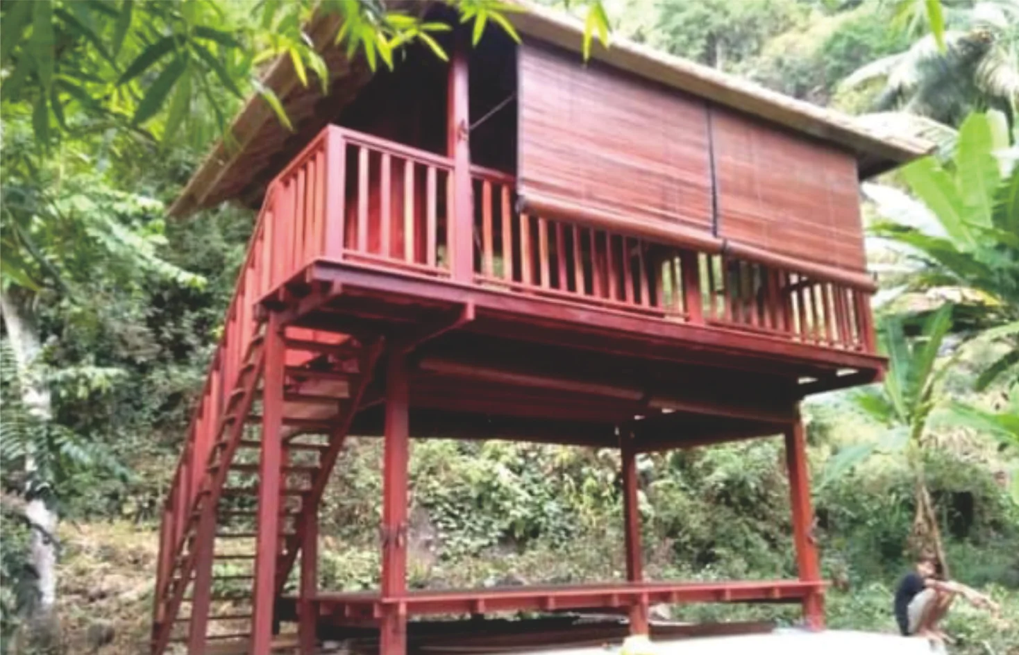 Rumah Kayu Impian: Desain Modern dengan Sentuhan Alam yang Hangat dan Ramah Lingkungan